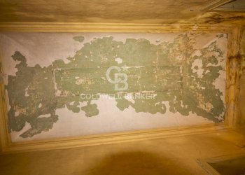 Foto 50 - Stabile - Palazzo Giudice Sardelli
 
27, San Vito dei Normanni - foto 50