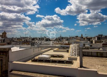 Foto 75 - Stabile - Palazzo Giudice Sardelli
 
27, San Vito dei Normanni - foto 75