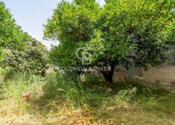 Foto 33 - Villa Via Cesare Battisti
 
25, Mesagne - foto 33