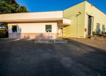 Foto 1 - Capannone sn, San Pietro Vernotico - foto 1