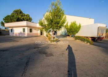 Foto 6 - Capannone sn, San Pietro Vernotico - foto 6