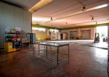 Foto 13 - Capannone sn, San Pietro Vernotico - foto 13