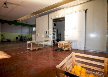 Foto 16 - Capannone sn, San Pietro Vernotico - foto 16