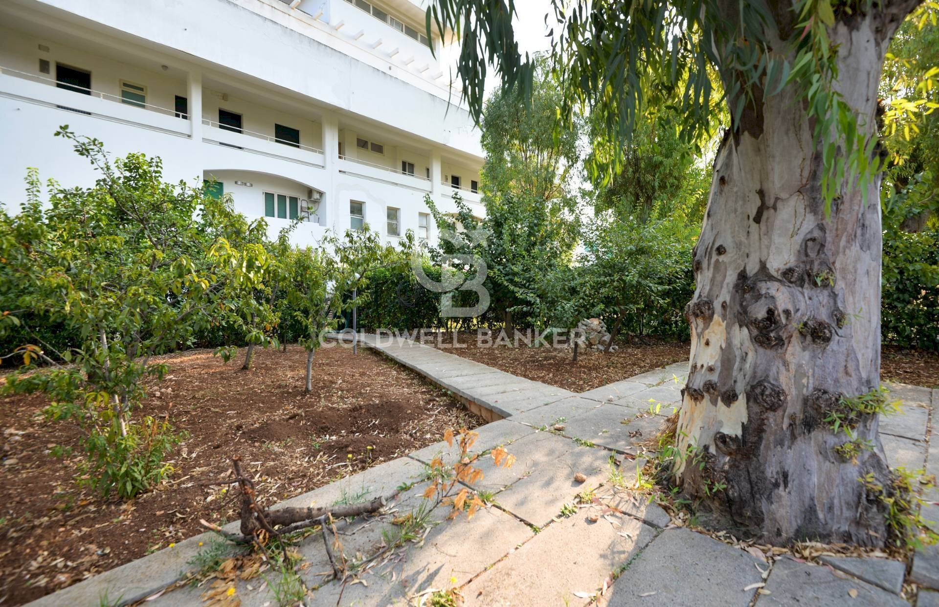 Foto 2 - Commercial Activity Cornelia palazzo uffici
108, Ostuni - photo 2