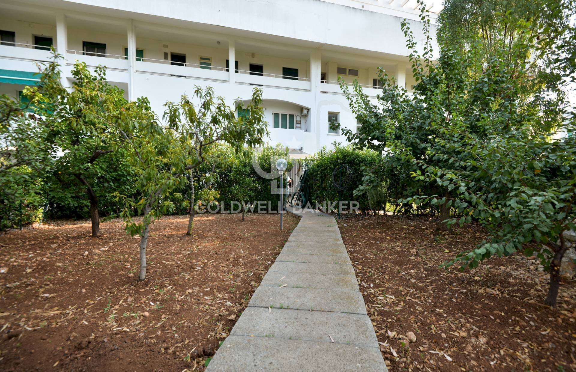 Foto 3 - Commercial Activity Cornelia palazzo uffici
108, Ostuni - photo 3