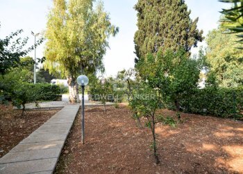 Foto 9 - Commercial Activity Cornelia palazzo uffici
 
108, Ostuni - photo 9