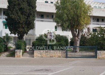 Foto 12 - Commercial Activity Cornelia palazzo uffici
 
108, Ostuni - photo 11