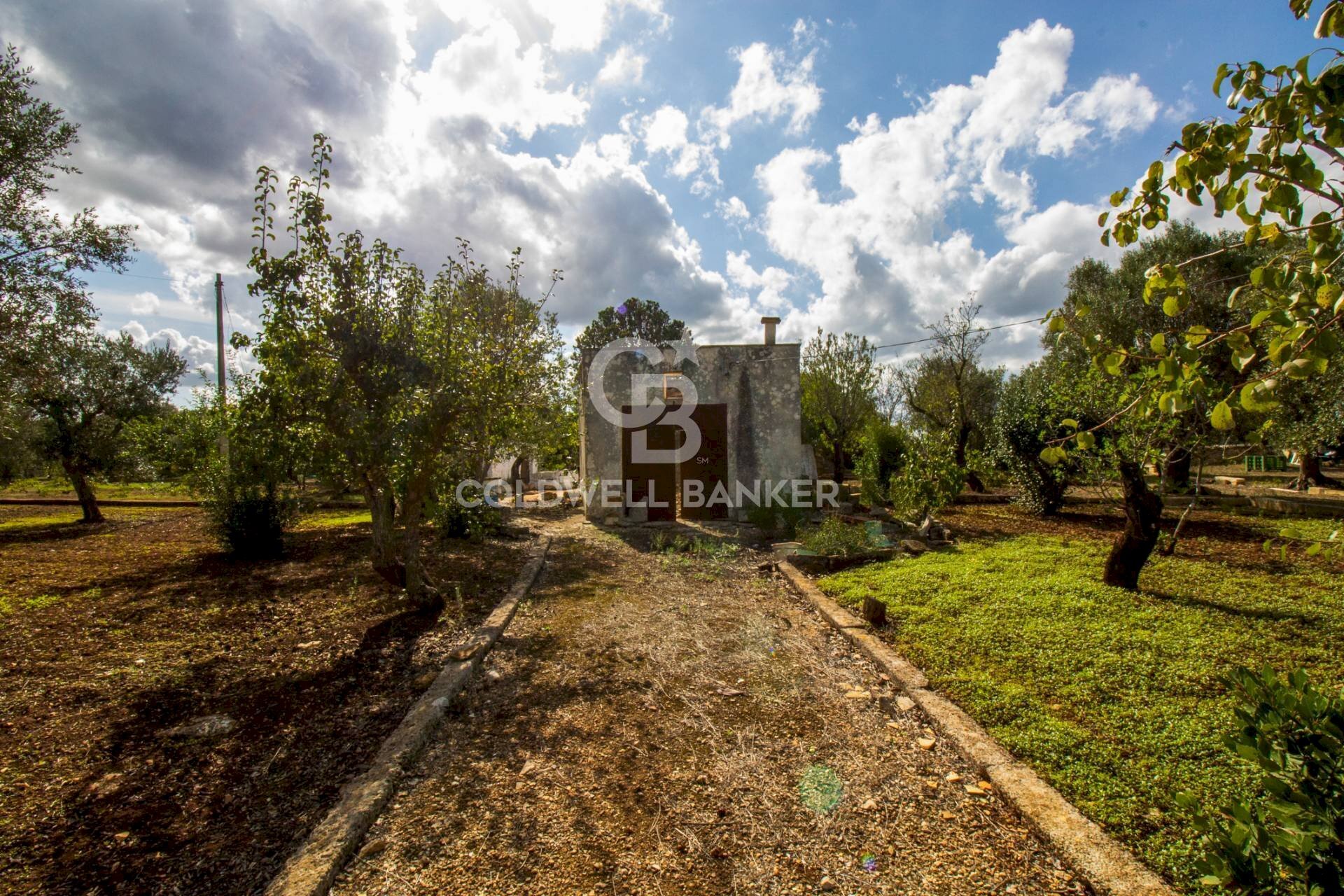 Foto 1 - Rustico Strada Comunale Ostuni San Michele, Ostuni - foto 1