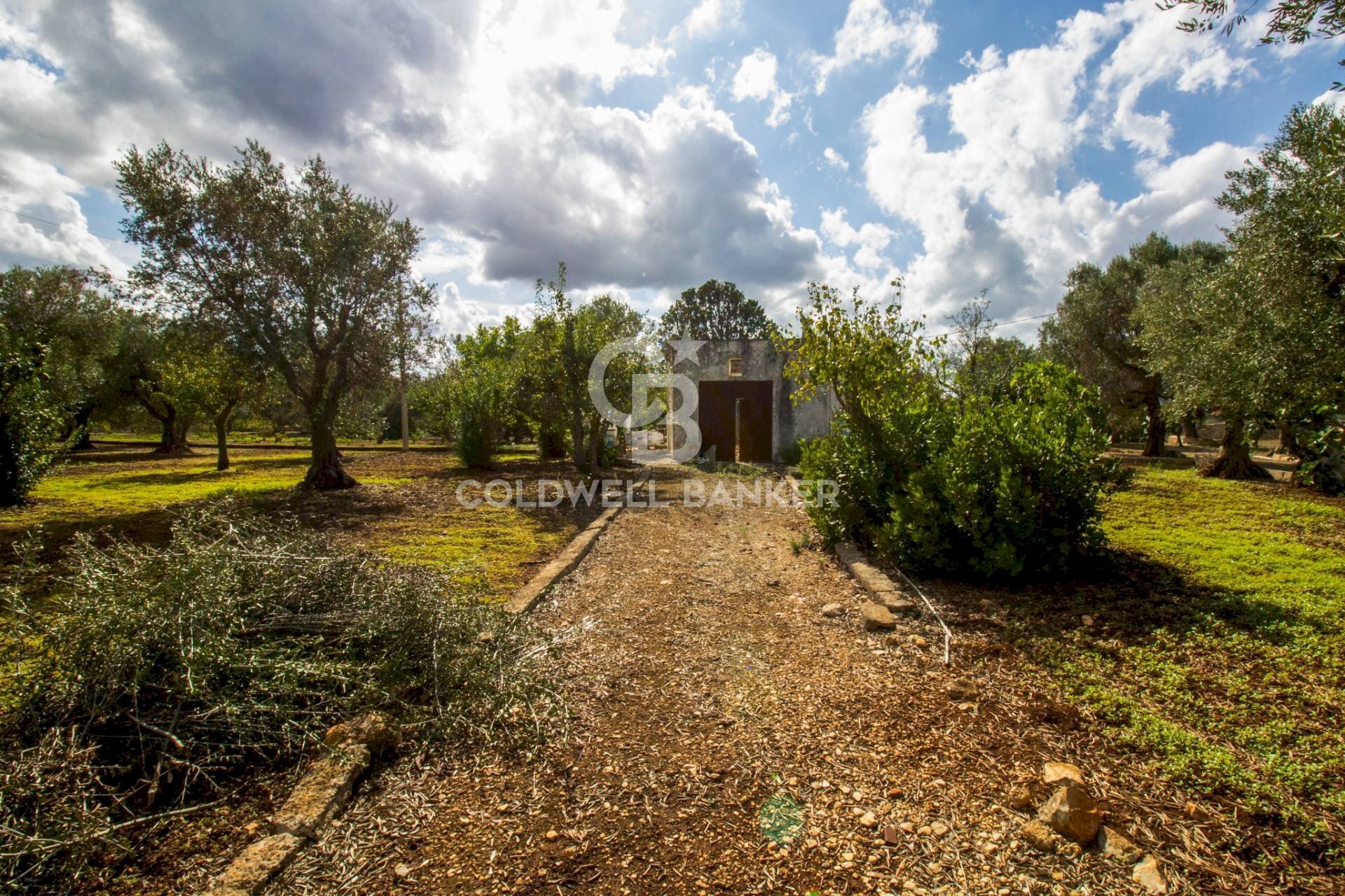 Foto 3 - Rustico Strada Comunale Ostuni San Michele, Ostuni - foto 3