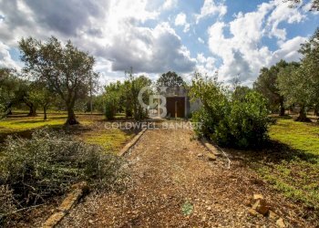 Foto 3 - Rustico Strada Comunale Ostuni San Michele, Ostuni - foto 3