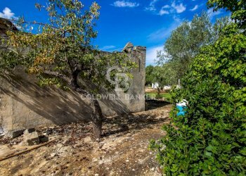 Foto 4 - Rustico Strada Comunale Ostuni San Michele, Ostuni - foto 4