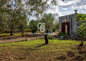 Foto 5 - Rustico Strada Comunale Ostuni San Michele, Ostuni - foto 5