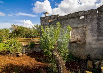 Foto 7 - Rustico Strada Comunale Ostuni San Michele, Ostuni - foto 7