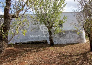 Foto 5 - Rustico Strada Comunale Ostuni San Michele, Ostuni - foto 5