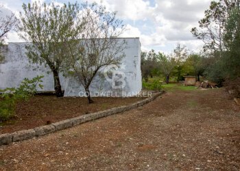 Foto 7 - Rustico Strada Comunale Ostuni San Michele, Ostuni - foto 7