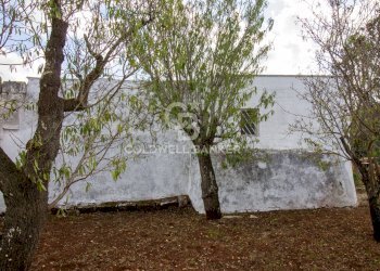 Foto 8 - Rustico Strada Comunale Ostuni San Michele, Ostuni - foto 8