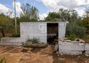 Foto 9 - Rustico Strada Comunale Ostuni San Michele, Ostuni - foto 9