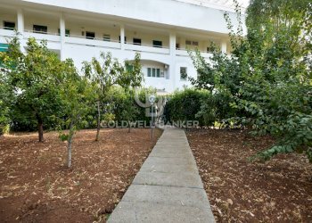 Foto 14 - Trilocale C.da Rosa Marina
 
108, Ostuni - foto 14