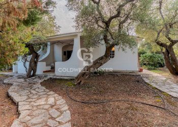 Foto 1 - Casa semi indipendente Contrada Rosa Marina
 
5, Ostuni - foto 1