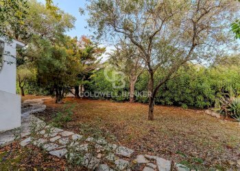 Foto 12 - Casa semi indipendente Contrada Rosa Marina
 
5, Ostuni - foto 12