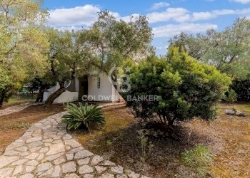 Foto 15 - Casa semi indipendente Contrada Rosa Marina
 
5, Ostuni - foto 15