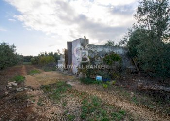 Foto 4 - Terreno agricolo Contrada San Giacomo, San Vito dei Normanni - foto 4