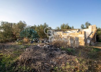 Foto 26 - Terreno agricolo Contrada San Giacomo, San Vito dei Normanni - foto 26