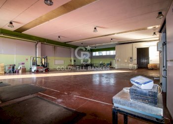 Foto 10 - Capannone via Cupa- Cigno
 
sn, San Pietro Vernotico - foto 10