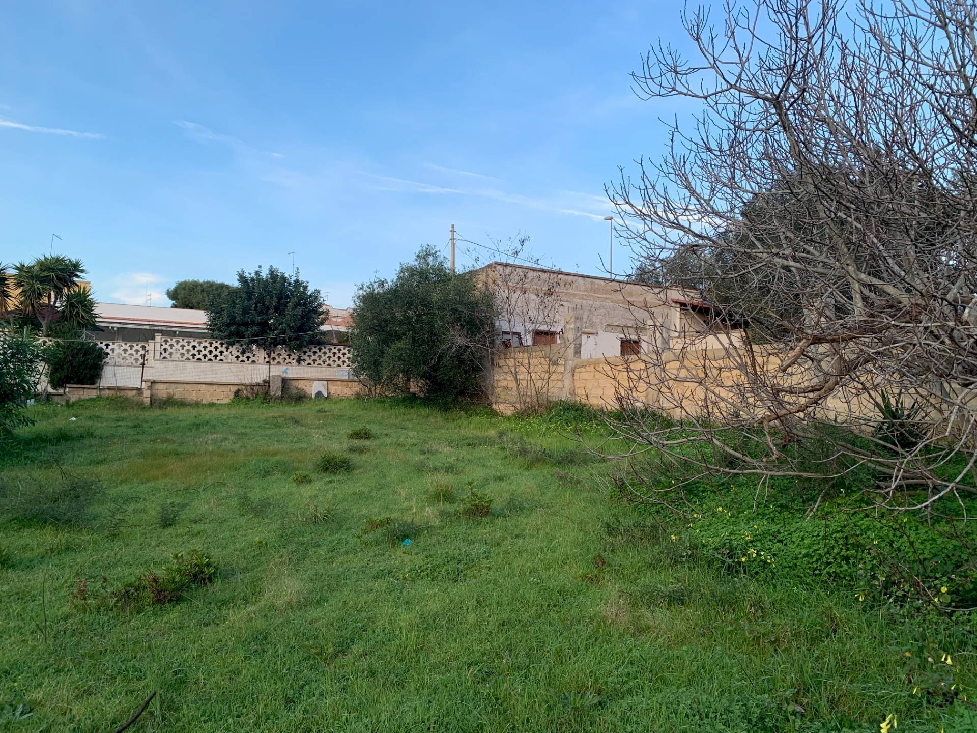 Foto 3 - Terreno edificabile VIALE DEL CARDO
 
2, Pulsano - foto 3