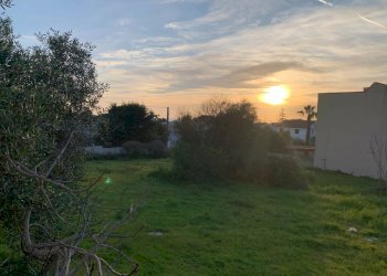 Foto 4 - Terreno edificabile VIALE DEL CARDO
2, Pulsano - foto 4