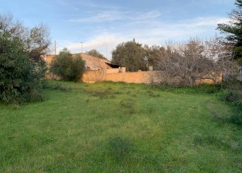 Foto 6 - Terreno edificabile VIALE DEL CARDO
2, Pulsano - foto 6