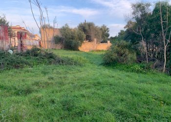 Foto 7 - Terreno edificabile VIALE DEL CARDO
2, Pulsano - foto 7