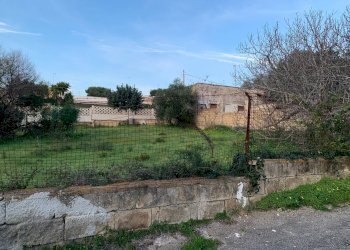 Foto 9 - Terreno edificabile VIALE DEL CARDO
2, Pulsano - foto 9