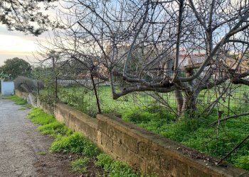 Foto 10 - Terreno edificabile VIALE DEL CARDO
2, Pulsano - foto 10