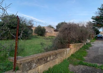 Foto 11 - Terreno edificabile VIALE DEL CARDO
2, Pulsano - foto 11