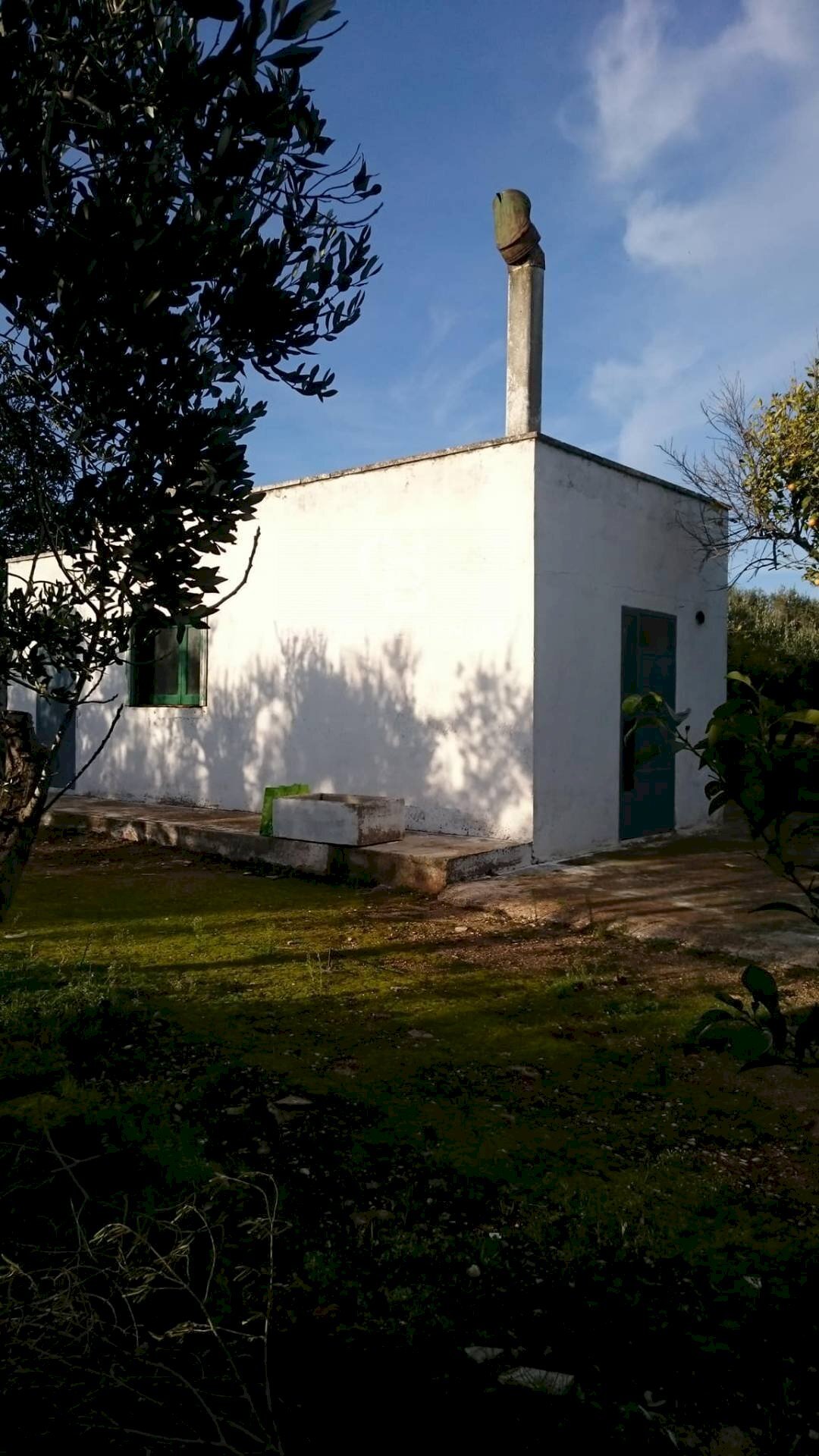 Foto 1 - Rustico Contrada Bosco Colombo, Mesagne - foto 1