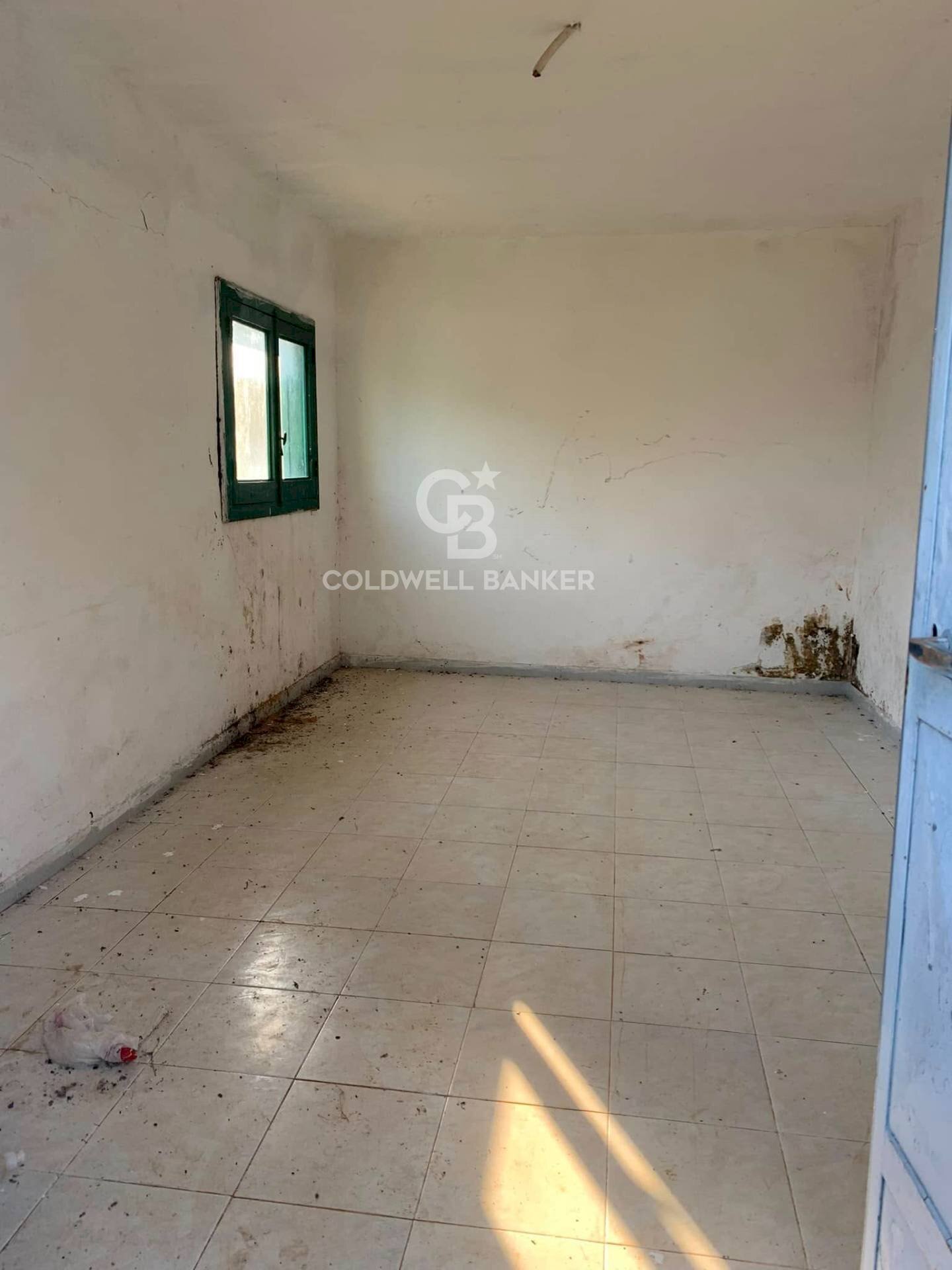 Foto 3 - Rustico Contrada Bosco Colombo, Mesagne - foto 3