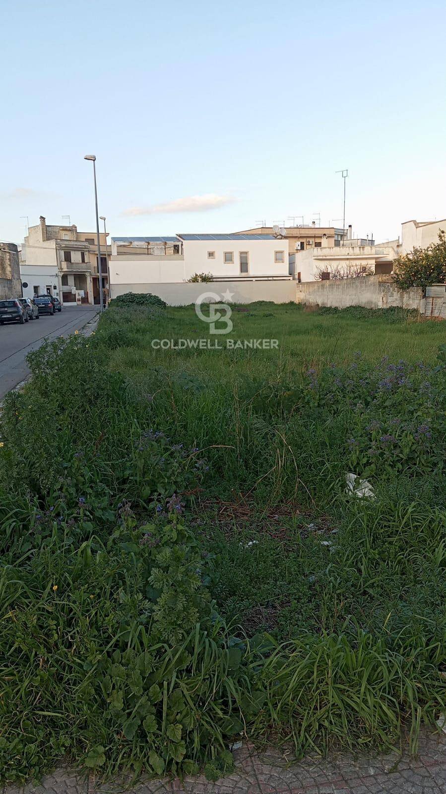 Foto 3 - Terreno edificabile Via fratelli Galasso, Torre Santa Susanna - foto 3