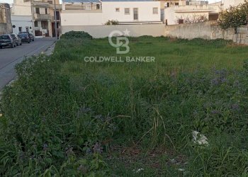 Foto 3 - Terreno edificabile Via fratelli Galasso, Torre Santa Susanna - foto 3