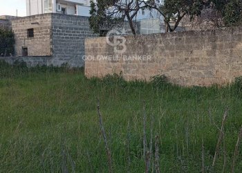 Foto 1 - Terreno edificabile Via fratelli Galasso, Torre Santa Susanna - foto 1