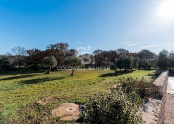 Foto 20 - Villa Contrada Specchiaruzzo
 
28, Ostuni - foto 20