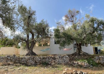 Foto 16 - Baita contrada badessa
 
sn, Ostuni - foto 16