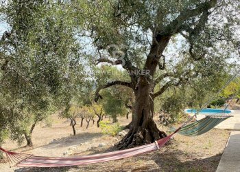 Foto 20 - Baita contrada badessa
 
sn, Ostuni - foto 20