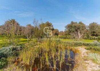 Foto 4 - Villa C.da Cervarolo
 
120, Ostuni - foto 4