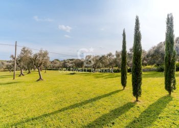 Foto 24 - Villa C.da Cervarolo
 
120, Ostuni - foto 24