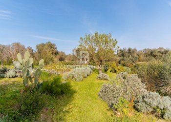 Foto 25 - Villa C.da Cervarolo
 
120, Ostuni - foto 25