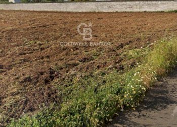 Foto 3 - Terreno edificabile Via Marsala
 
SN, Cavallino - foto 3