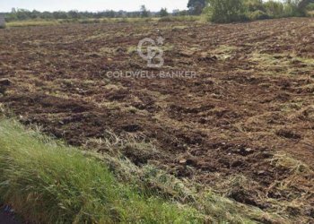 Foto 4 - Terreno edificabile Via Marsala
 
SN, Cavallino - foto 4