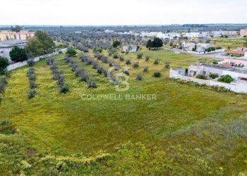 Foto 5 - Terreno edificabile Via Raffaello Sanzio, Squinzano - foto 5