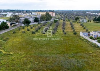 Foto 6 - Terreno edificabile Via Raffaello Sanzio, Squinzano - foto 6